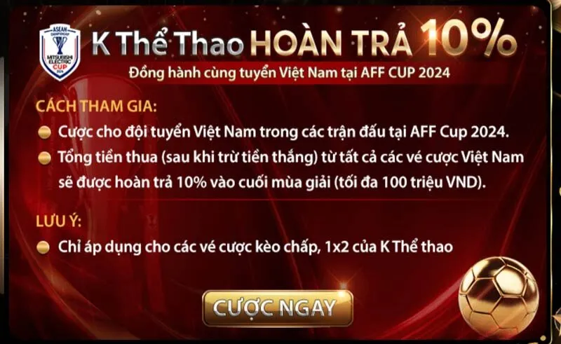 Ưu đãi AFF Cup vừa diễn ra vào những ngày cuối năm 2024